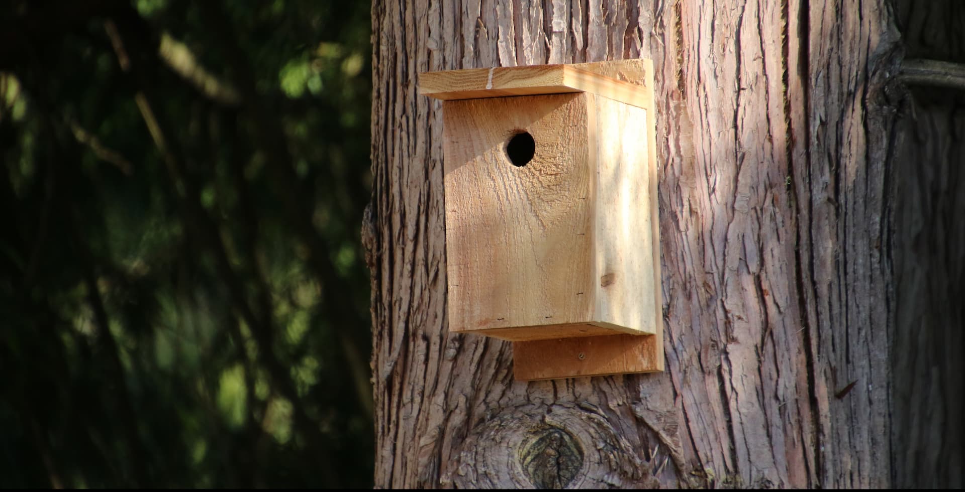 Adobe Stock 461166187 507b43f6f3