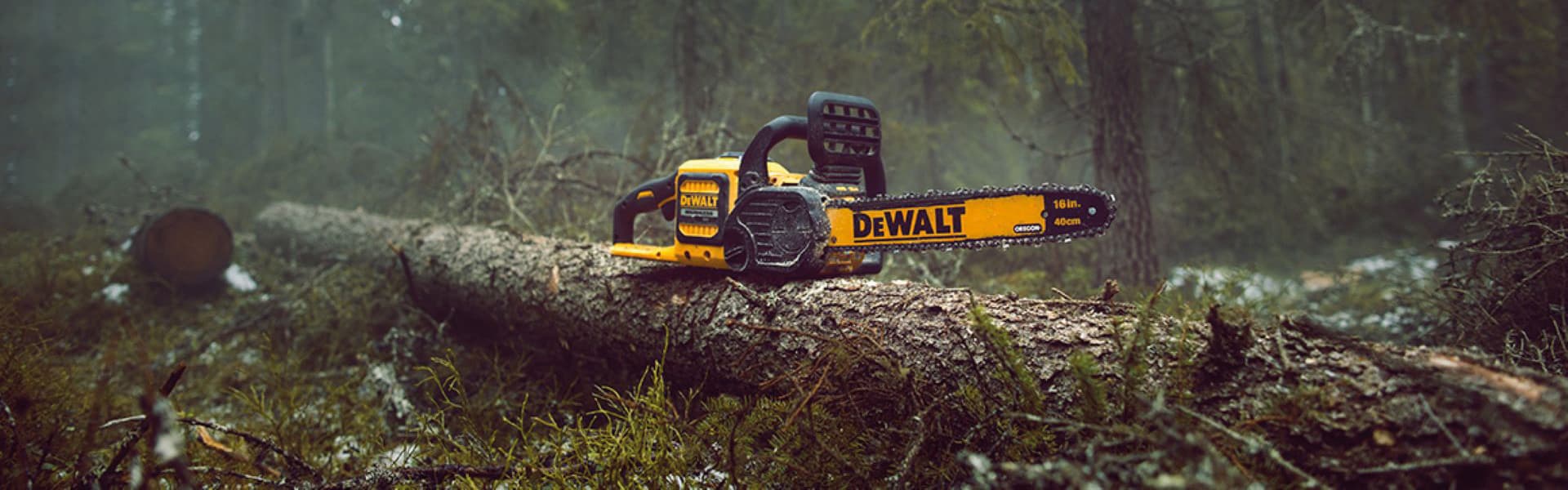 Héropage-Dewalt.jpg