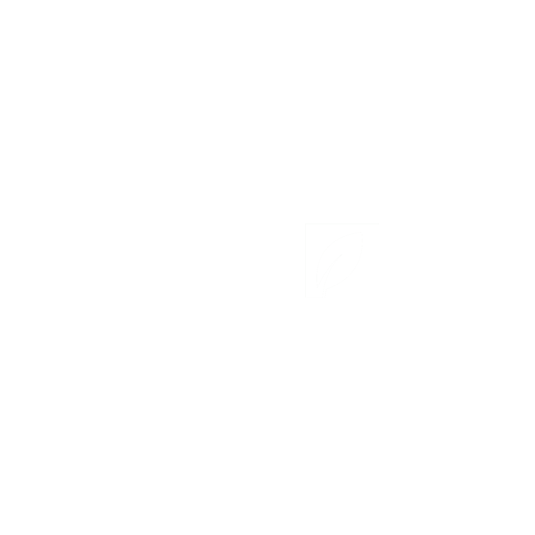 Image-750x750-ideal-eg copie.jpg