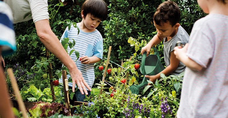 Image-775x400-Leborgne-enfant.jpg