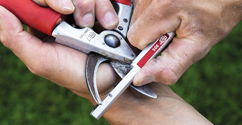 Image-775x400--entretien-outils-de-coupe-1.jpg