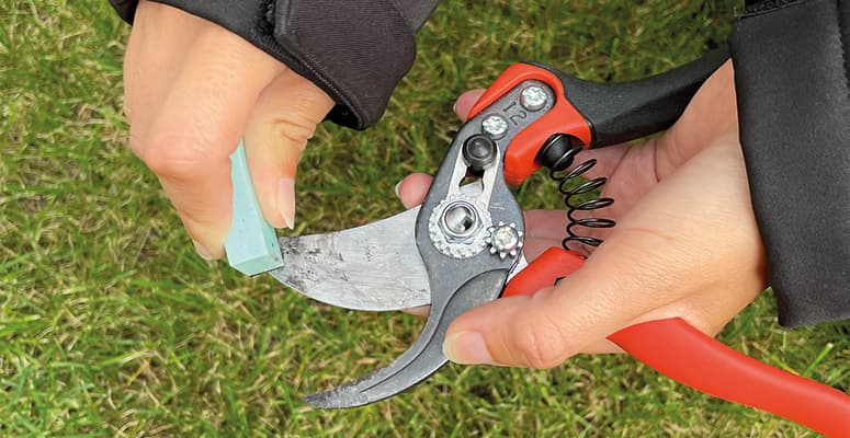 Image-775x400-entretien-outils-de-coupes.jpg