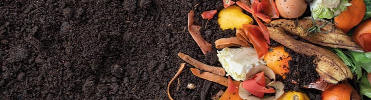 Image-775x400-image-compost.jpg