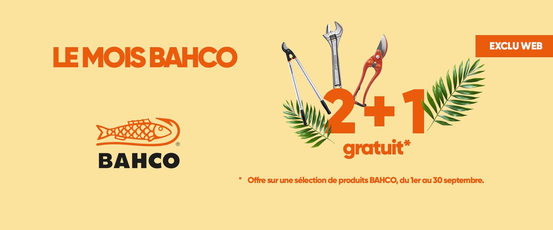 Banniere web 6276e44aa5