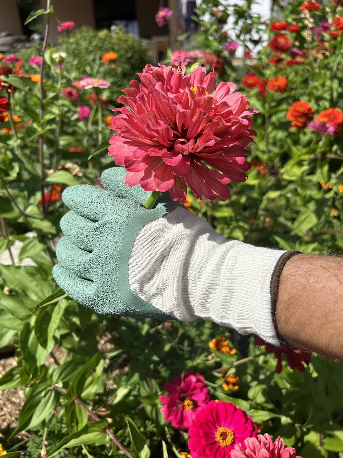 Gants rosiers recyclés - 3