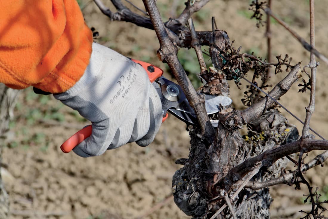 2 + 1 gratuit / Sécateur PX-M2, Bahco - 10