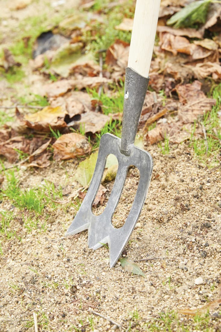 Binette trident - 5