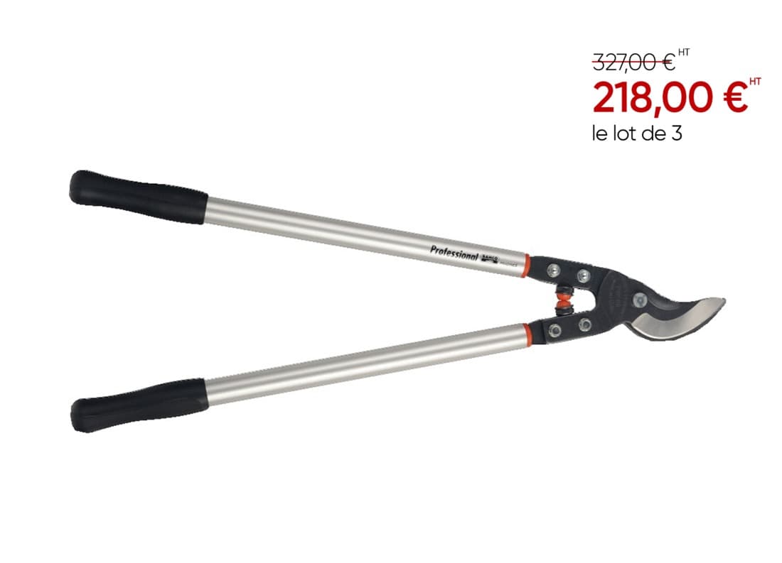 2 + 1 gratuit / Ébrancheur P19-80 - 1