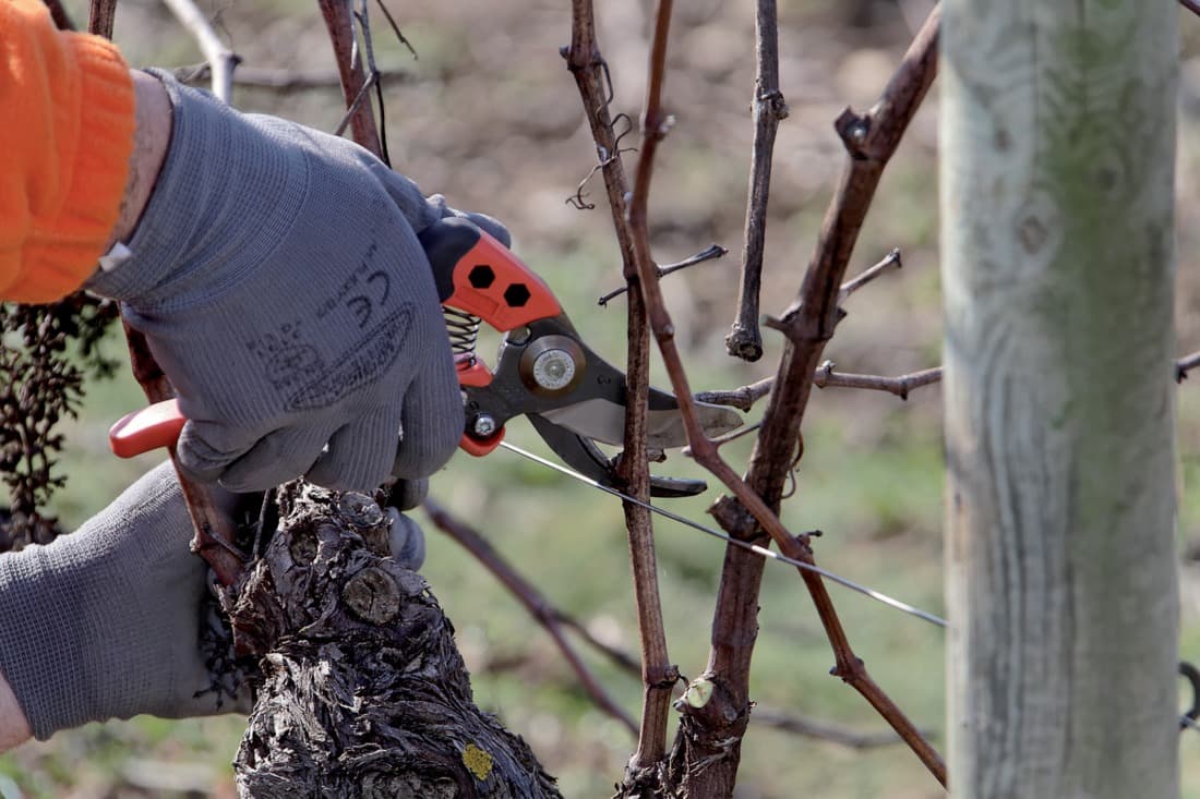 2 + 1 gratuit / Sécateur PX-M2, Bahco - 8