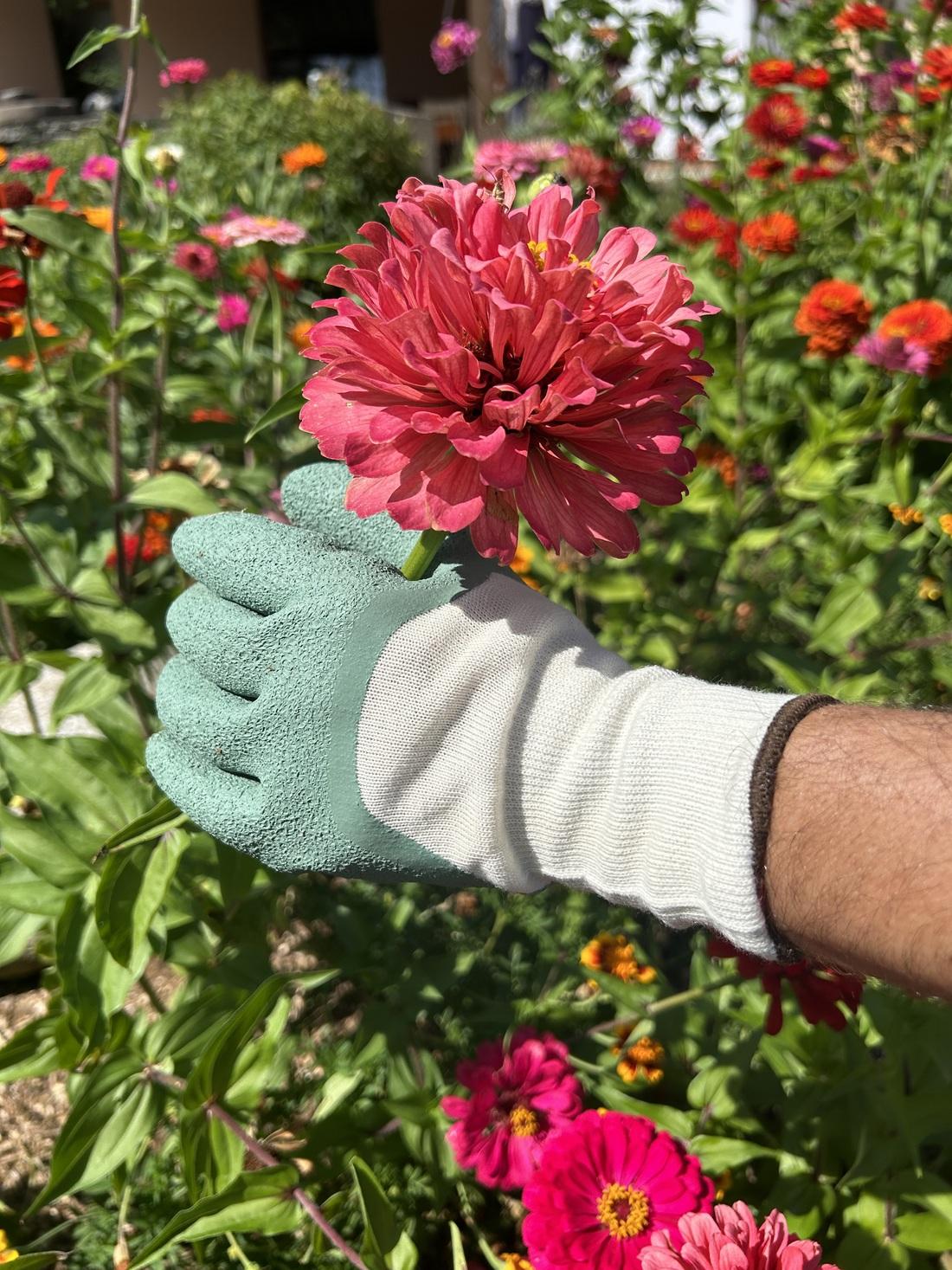 Gants rosiers recyclés - 2