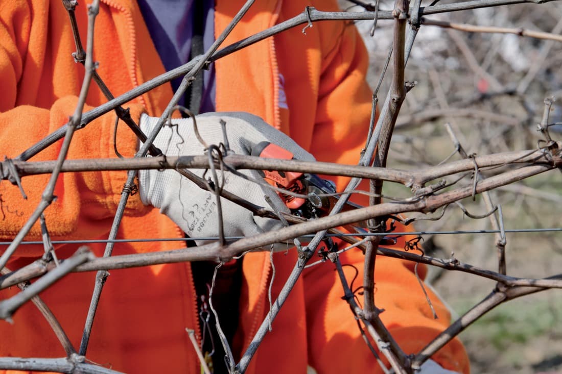 2 + 1 gratuit / Sécateur PX-M2, Bahco - 7