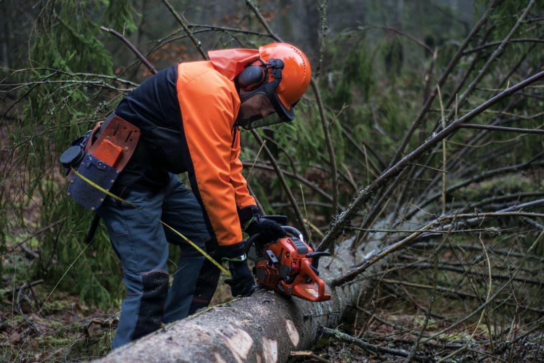 Coquilles di-électriques Série X - 9