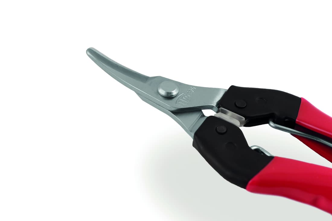 Épinette Felco - 2