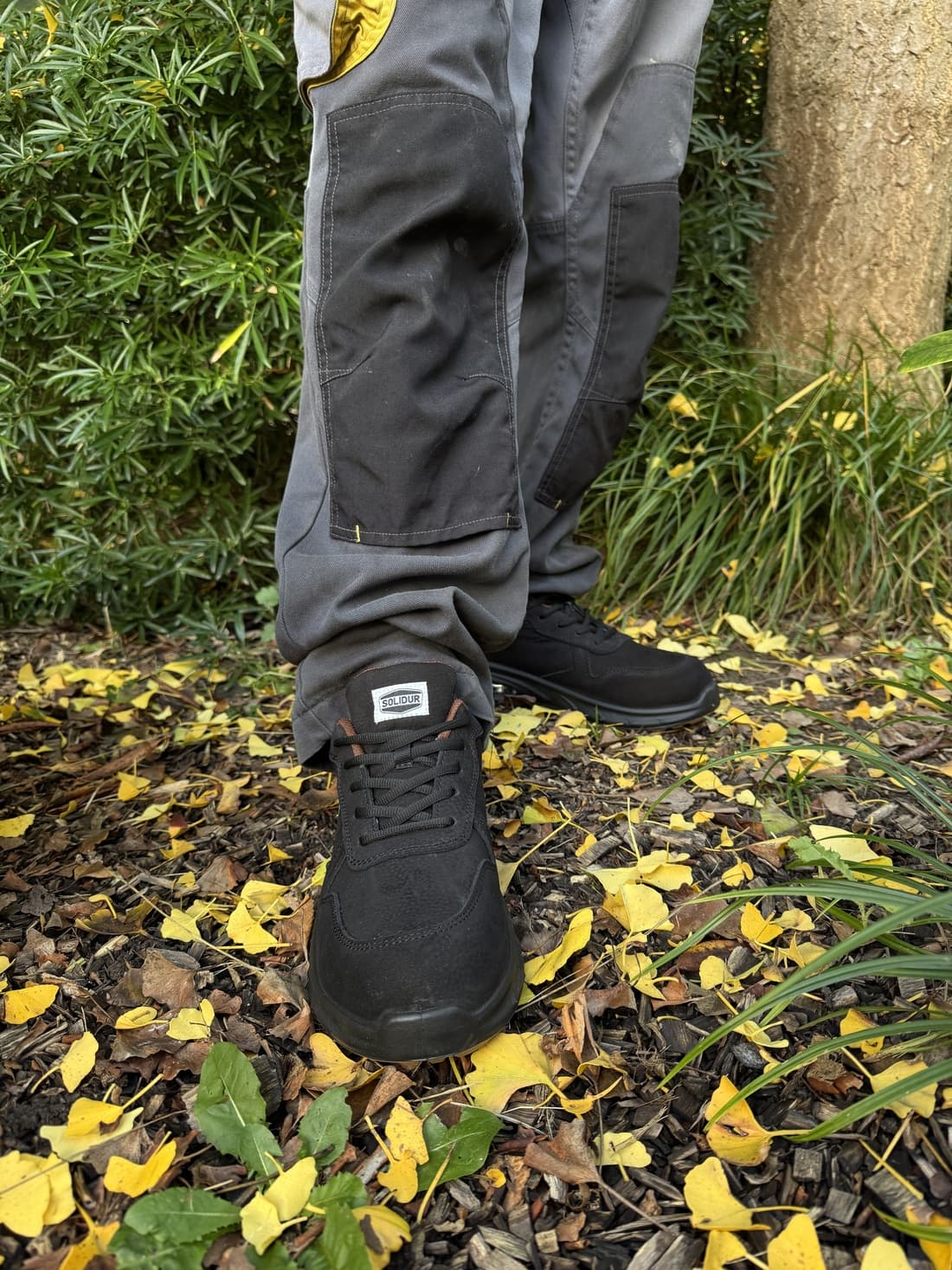 Chaussures basses Aria - 3