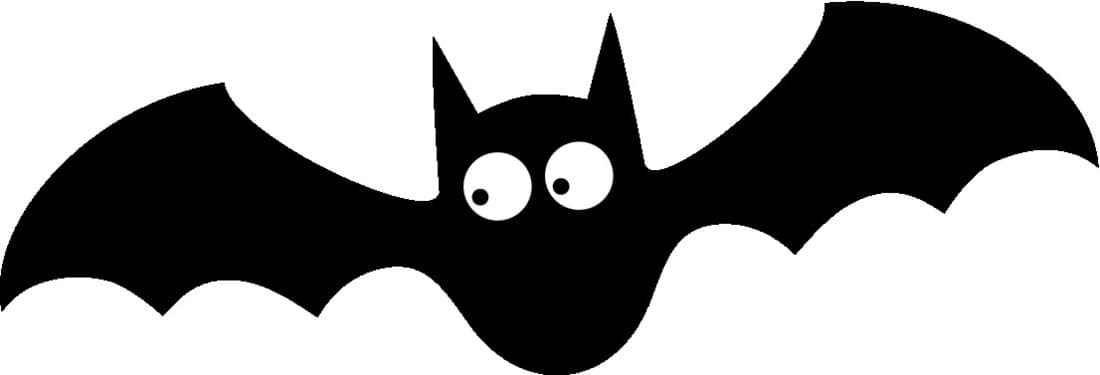 Nichoir à chauve-souris - 4