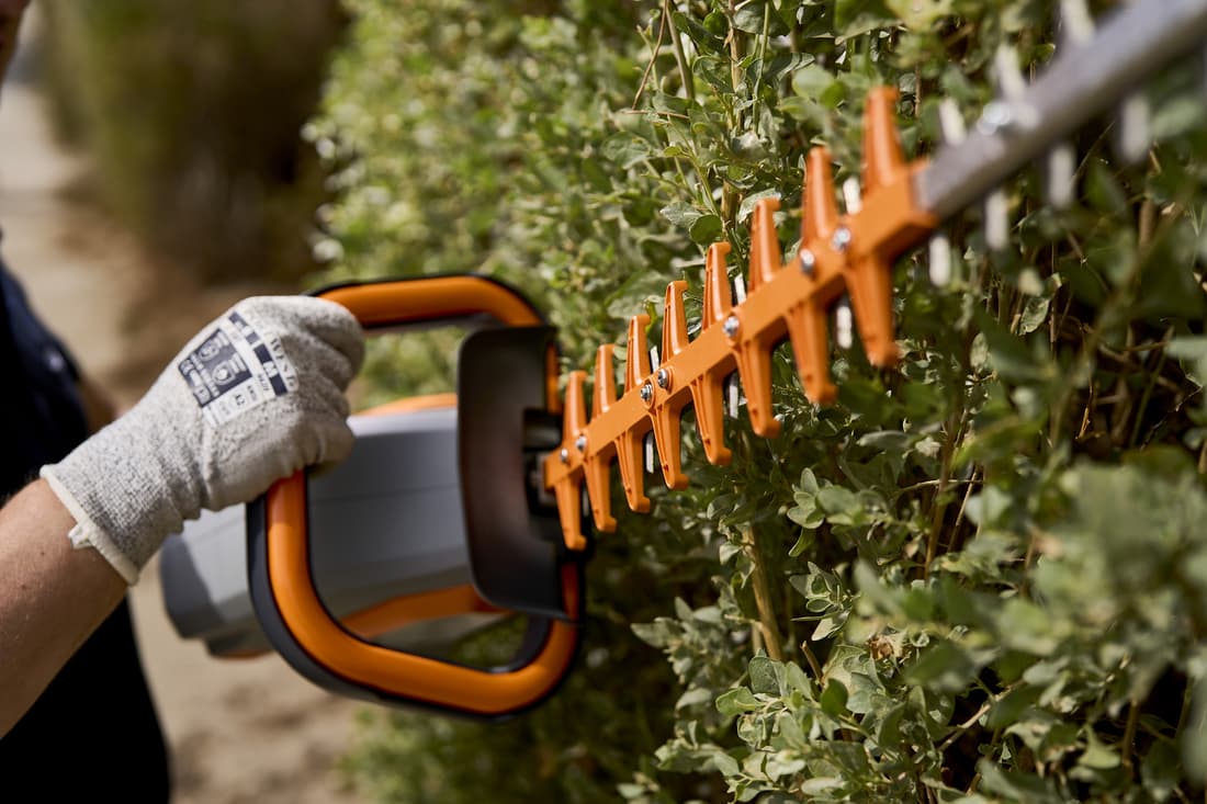 Taille-haies Helion Essential - 3