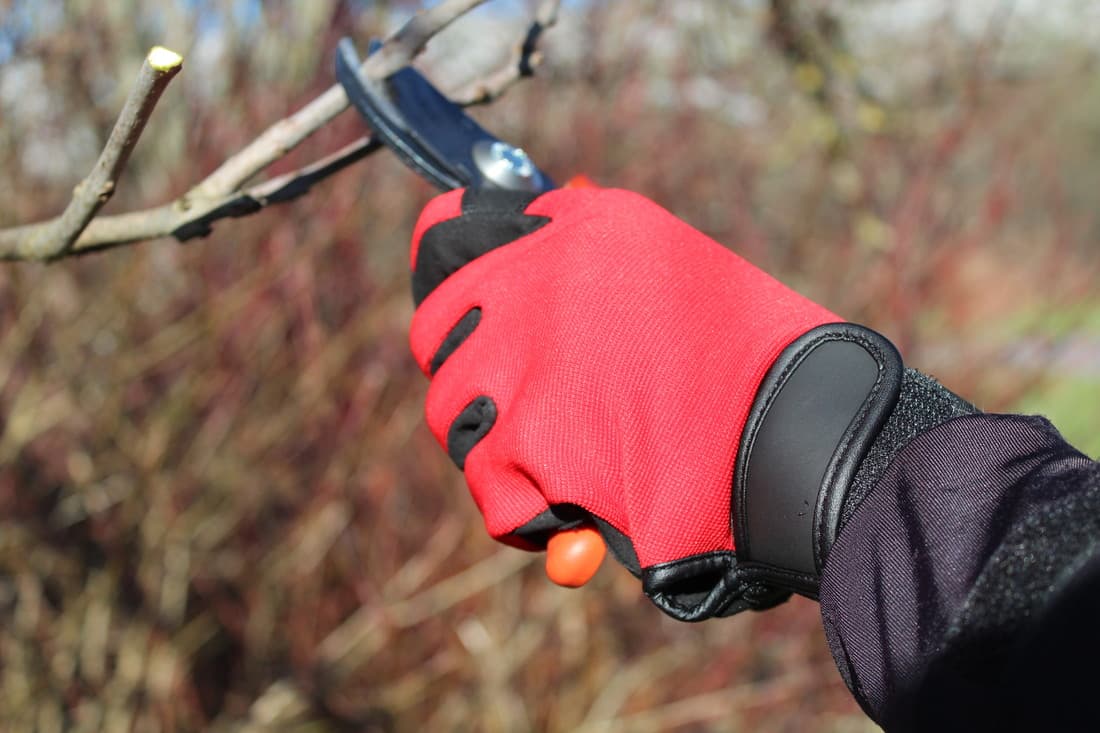 Gants multi-usages - 3