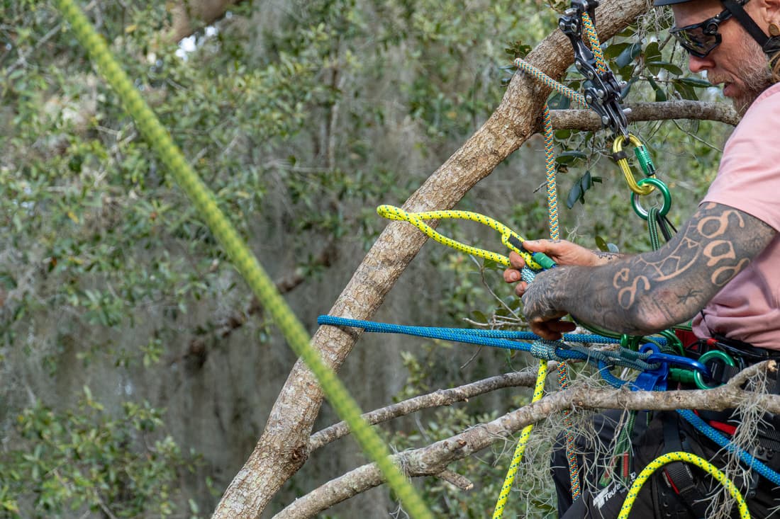 Longe de maintien miniGLIDE - 7