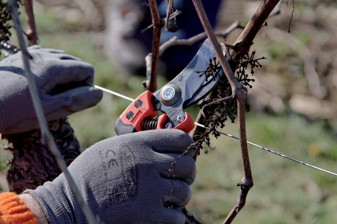 2 + 1 gratuit / Sécateur PX-M2, Bahco - 2