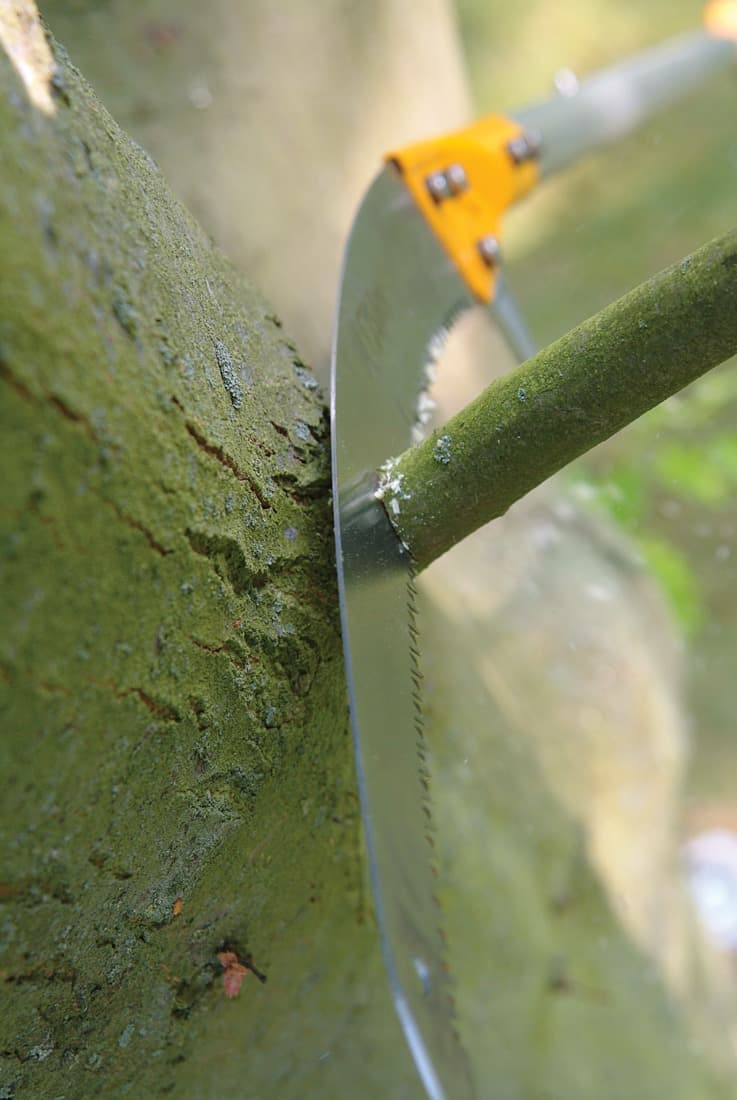 Scie sur perche Hayate, Silky, 2,40 m à 5 m - 2