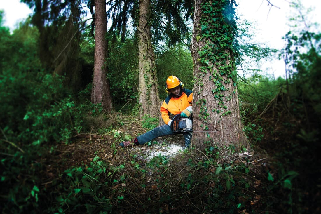 Veste Progress non protégé Sip protection, anthracite / orange fluo, taille XL - 7