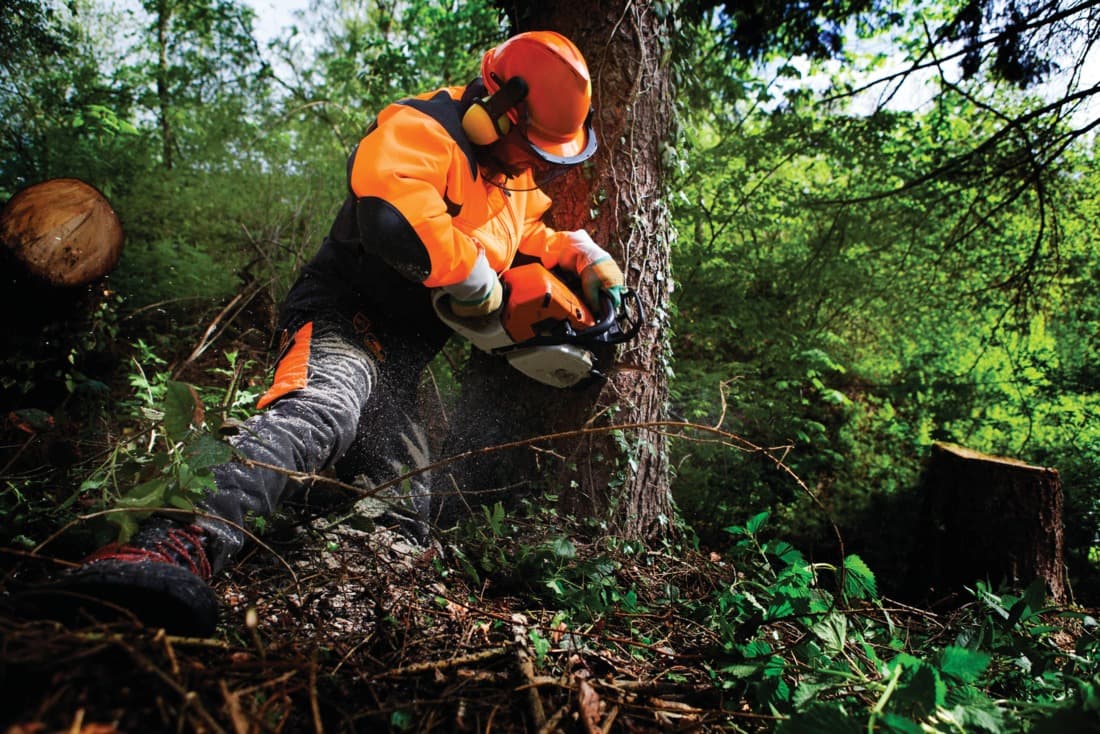 Veste Progress non protégé Sip protection, anthracite / orange fluo, taille M - 2