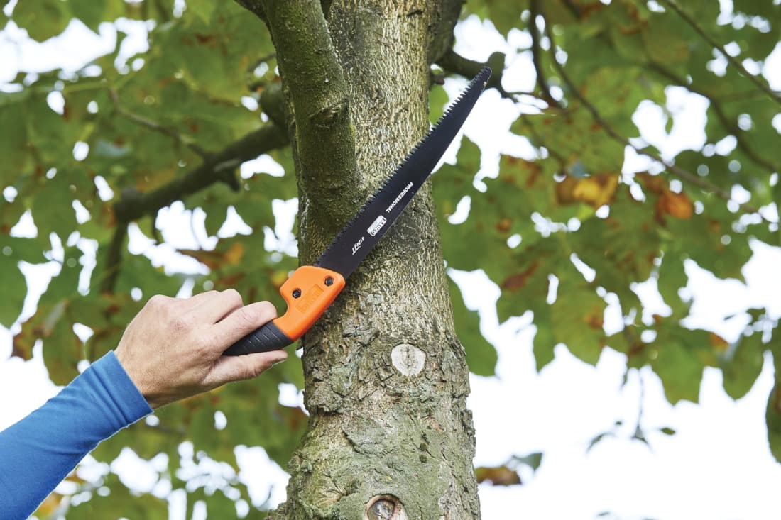 2 + 1 gratuit / Scie 396-JT, Bahco - 2