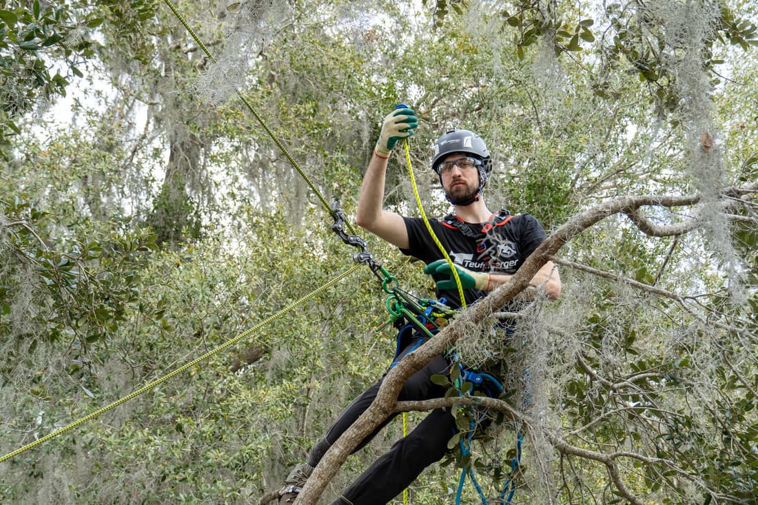 Longe de maintien miniGLIDE - 9