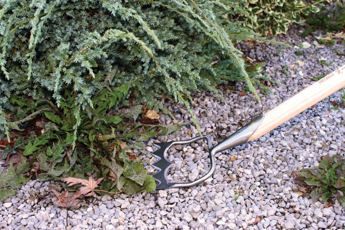 Binette 6 dents - 6