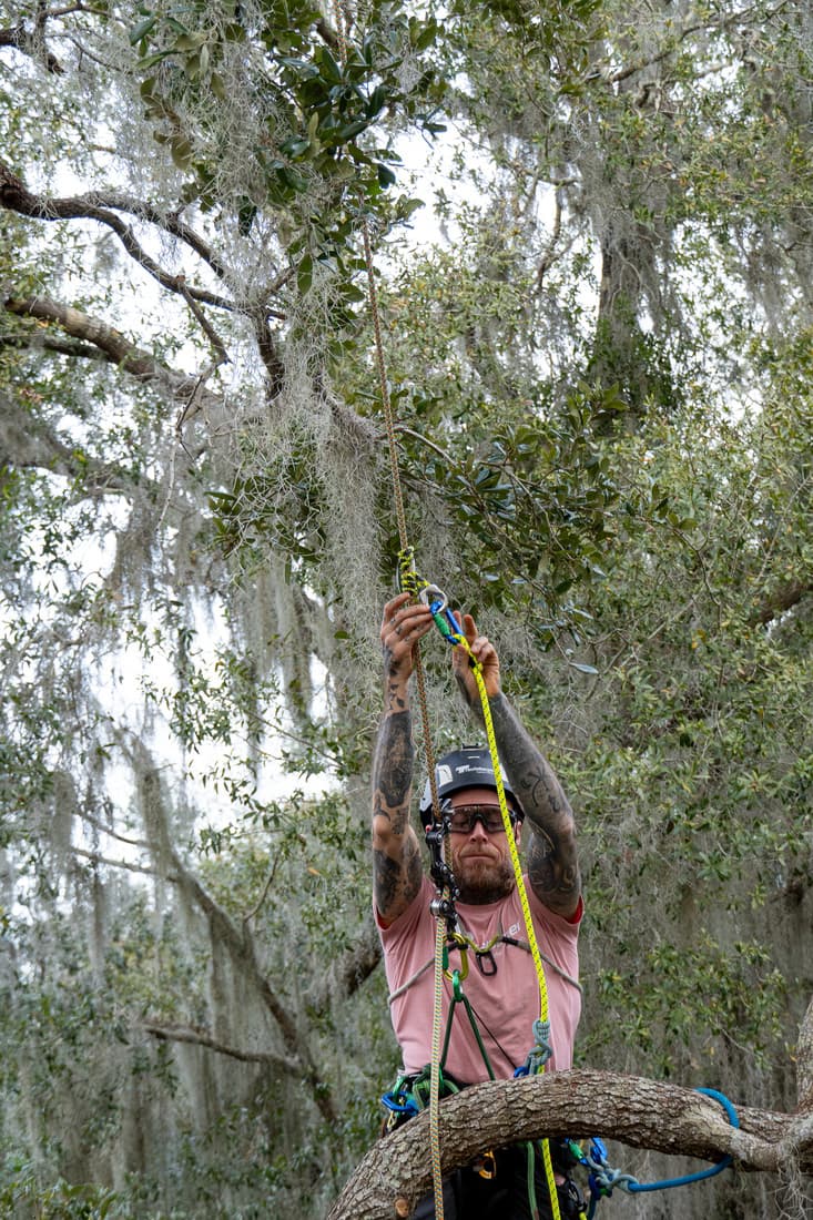 Longe de maintien miniGLIDE - 10