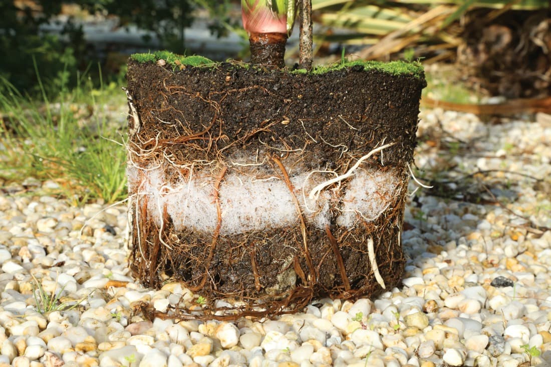 Géotextile hydrophile, Matl'eau, rétention 20 L/m2, rouleau de 1 m x 10 m (10 m2) - 10