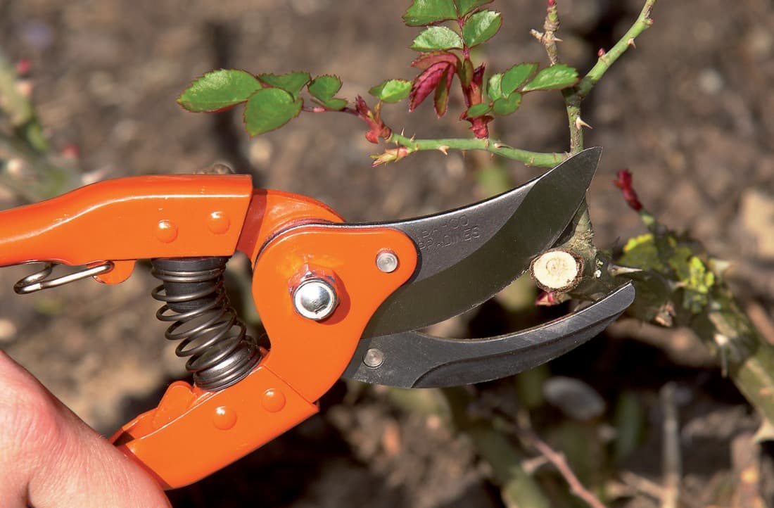 2 + 1 gratuit / Sécateur P110-23 - 5