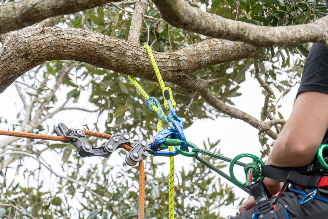 Longe de maintien miniGLIDE - 4