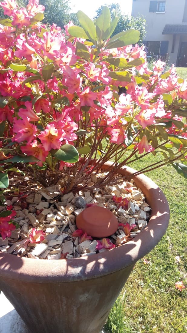 Ollas, 12 L, lot de 2 - 7