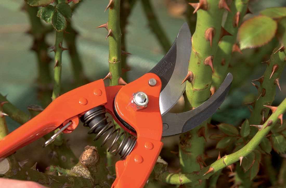 2 + 1 gratuit / Sécateur P110-23 - 2