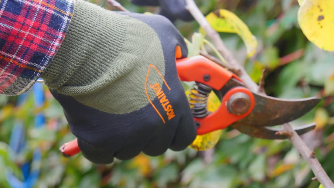 Gants mi-saison - 2