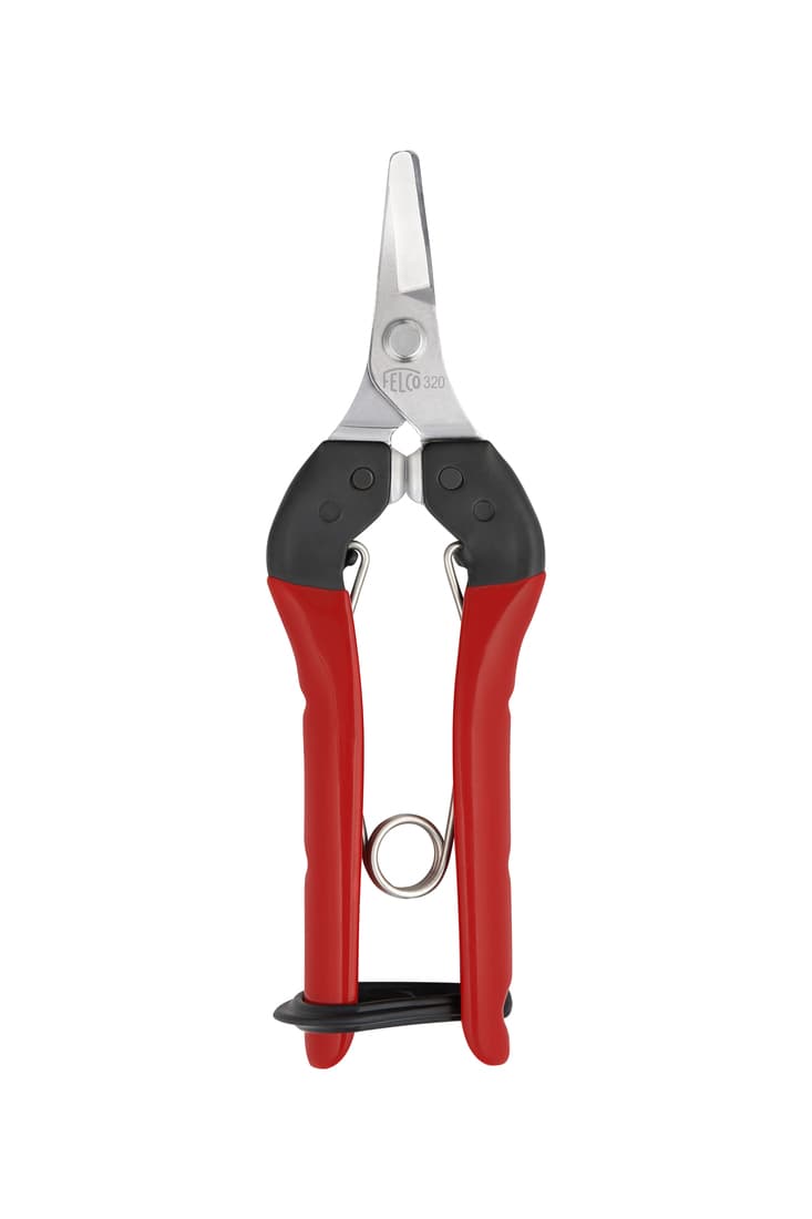 Épinette Felco - 1