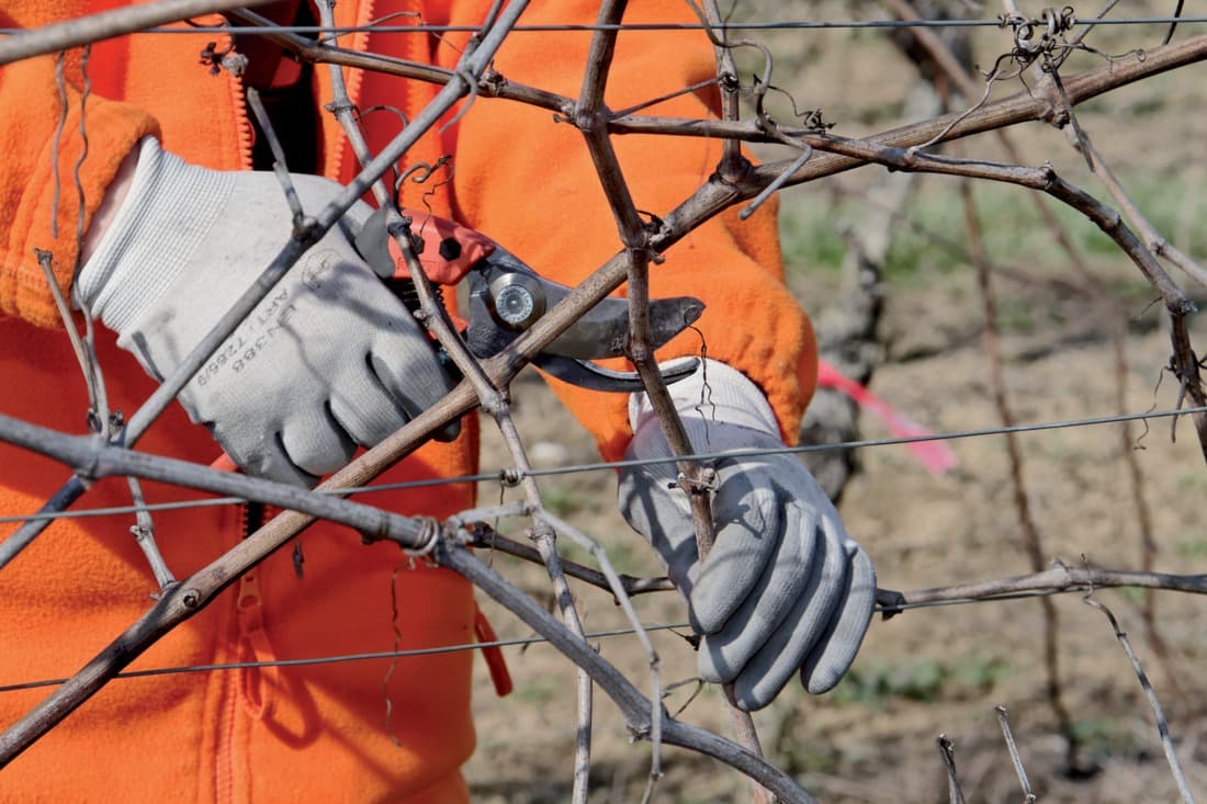 2 + 1 gratuit / Sécateur PX-M2, Bahco - 6