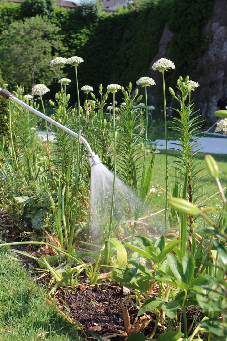 Lance télescopique - 1