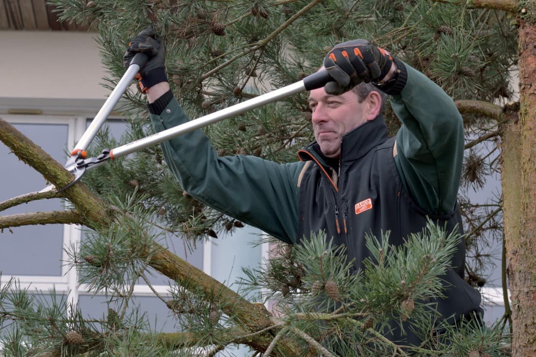 2 + 1 gratuit / Ébrancheur P280-SL-60 - 2