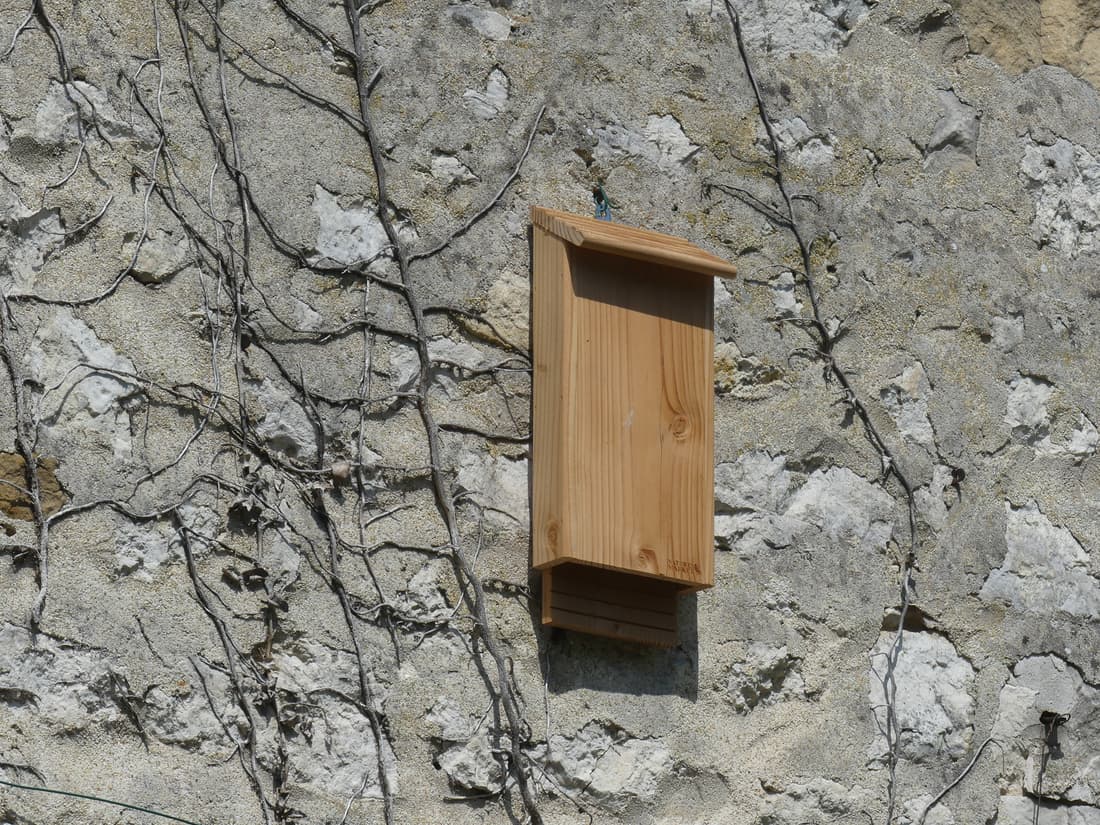 Nichoir à chauve-souris - 2