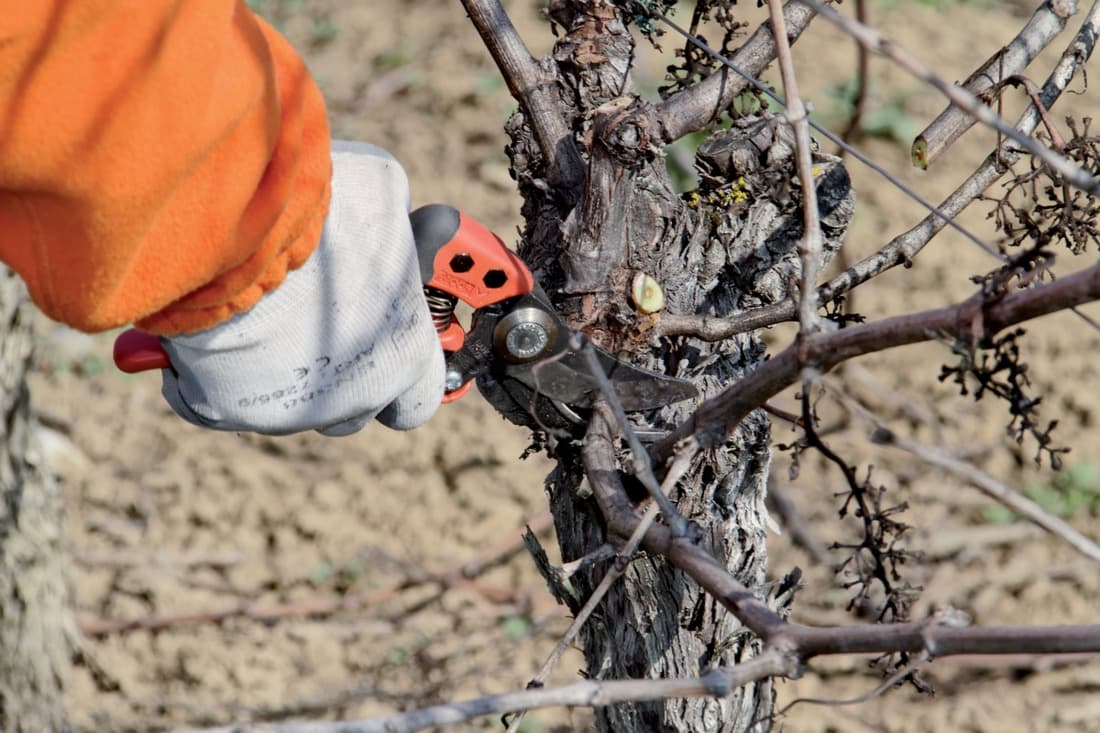 2 + 1 gratuit / Sécateur PX-M2, Bahco - 3