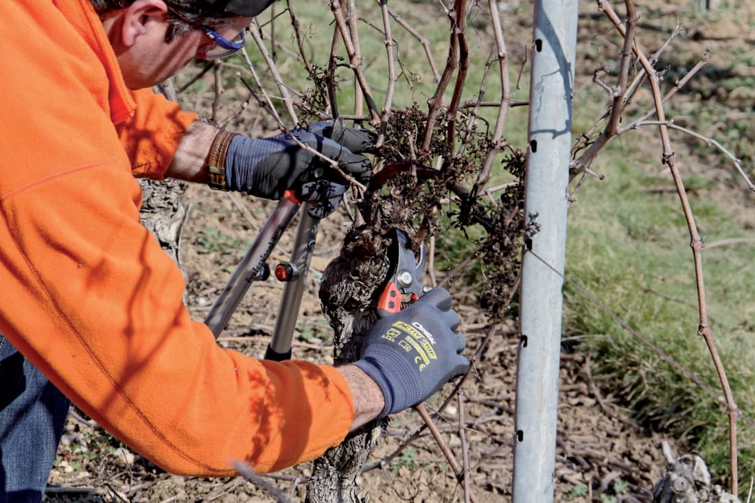 2 + 1 gratuit / Sécateur PX-M2, Bahco - 9