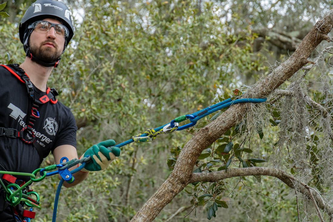 LONGE DE MAINTIEN hipSTAR GLIDE 3m - 7