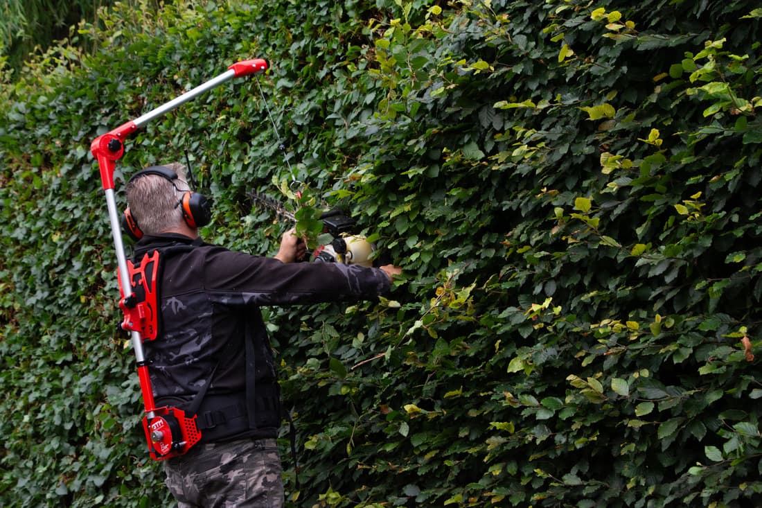 PROMO harnais trompe d'éléphant 3.0 - 5