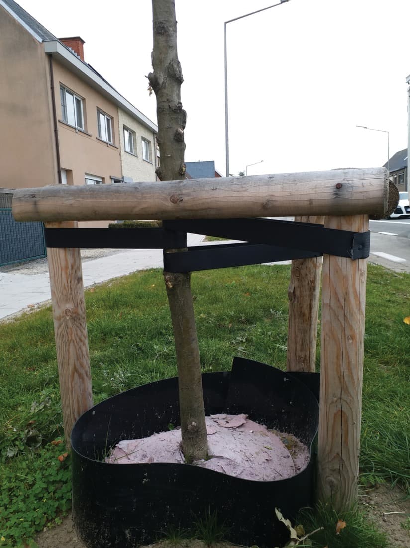 Bande arbre polypropylène - 3