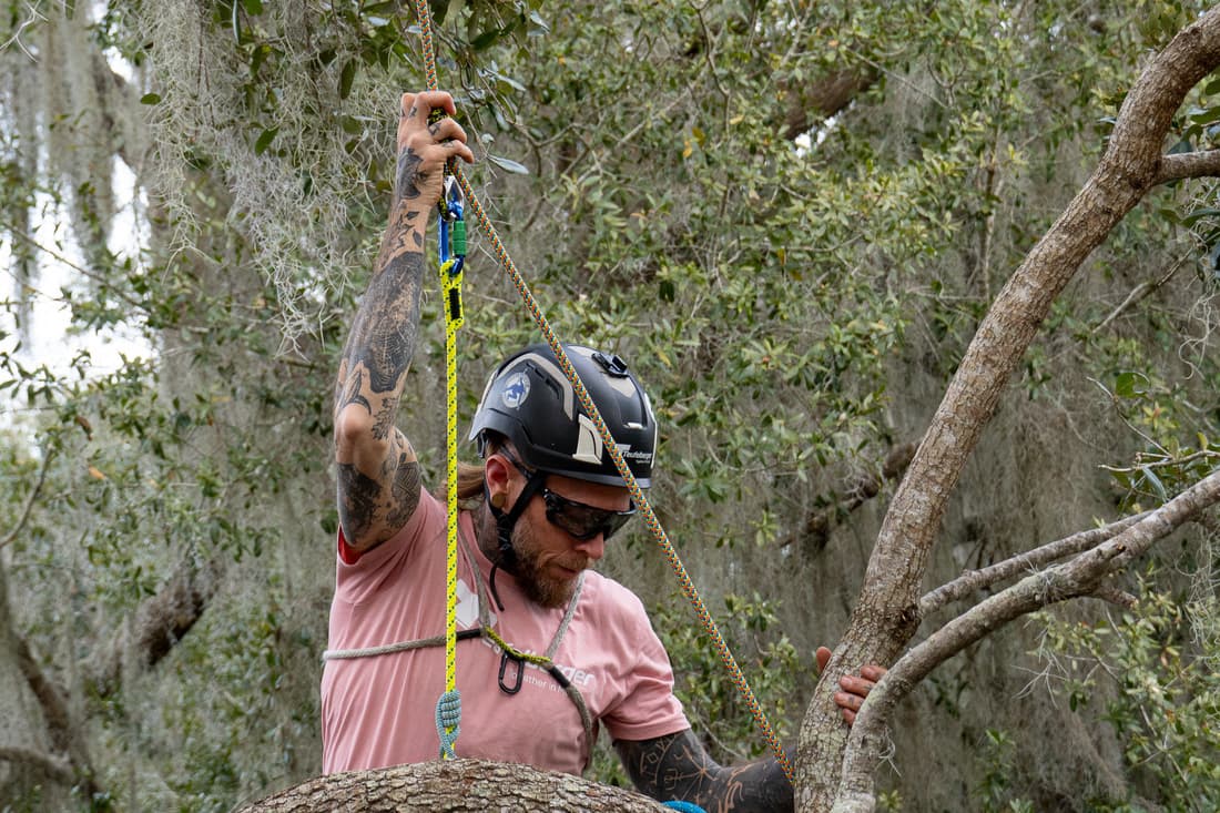 Longe de maintien miniGLIDE - 11