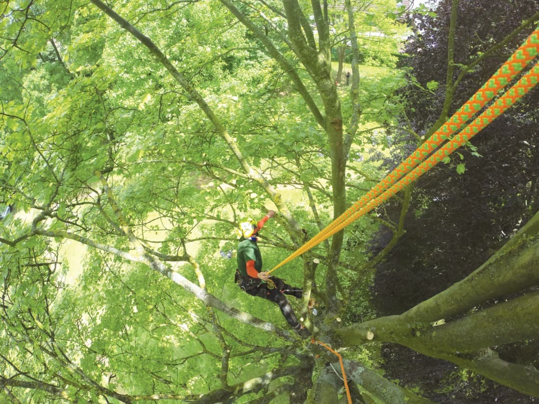 Corde de rappel Atrax - 10