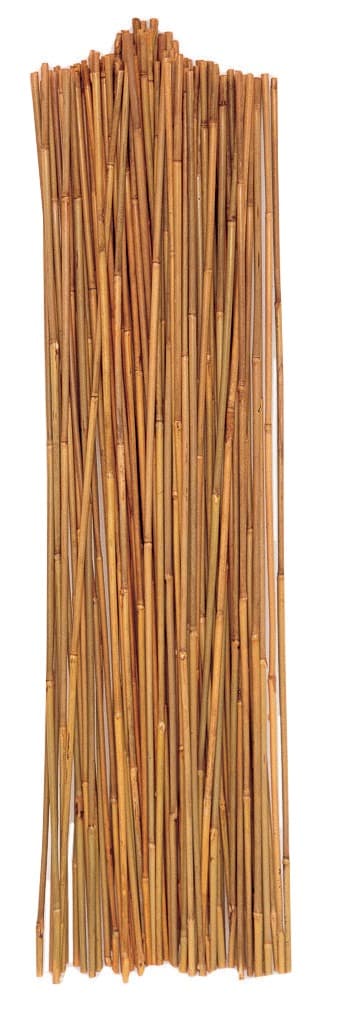 Tuteurs bambou - 3