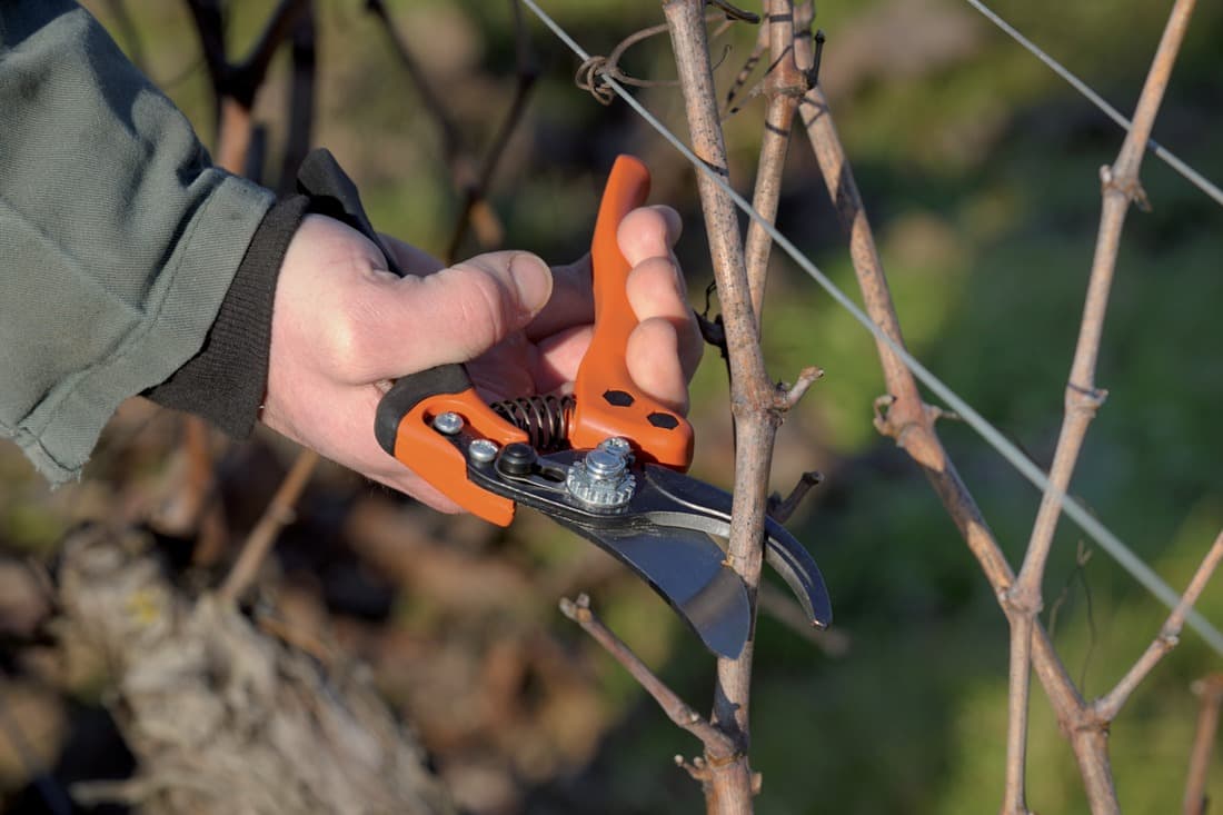 2 + 1 gratuit / Sécateur PX-M2, Bahco - 4